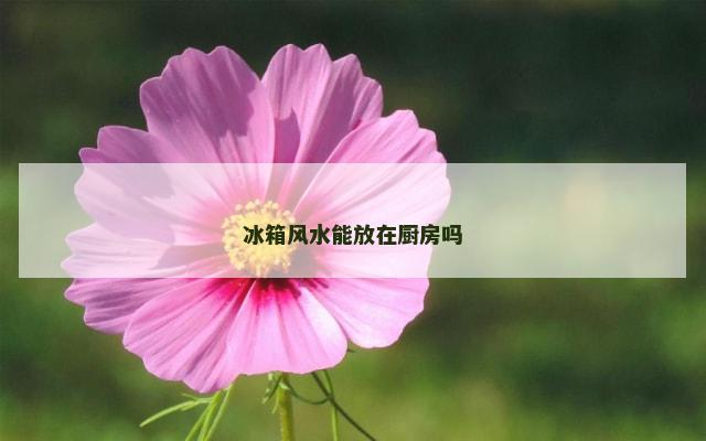 冰箱风水能放在厨房吗