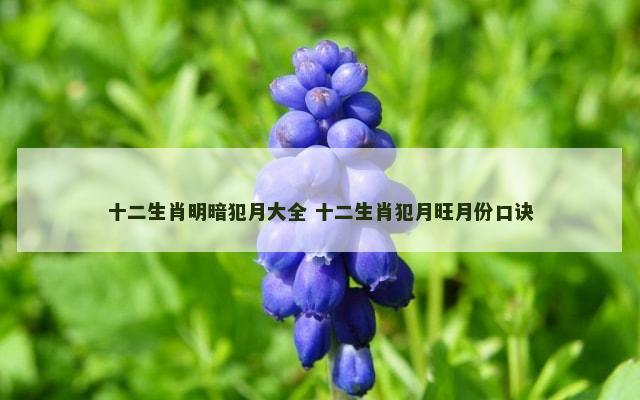 十二生肖明暗犯月大全 十二生肖犯月旺月份口诀