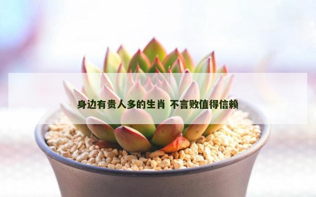 身边有贵人多的生肖 不言败值得信赖