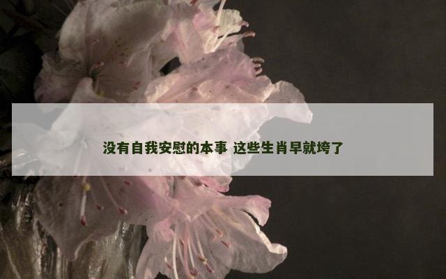 没有自我安慰的本事 这些生肖早就垮了