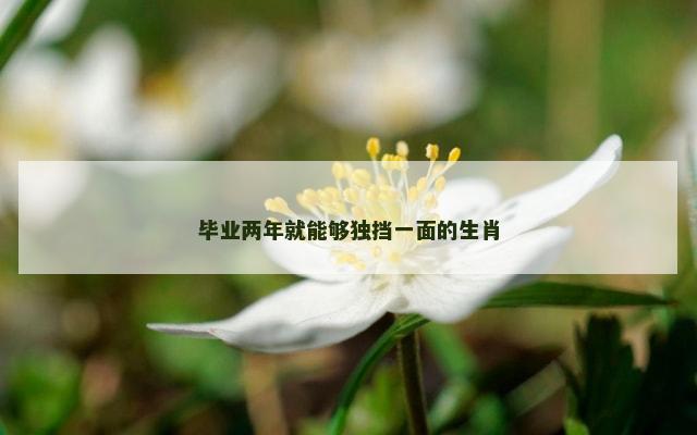 毕业两年就能够独挡一面的生肖