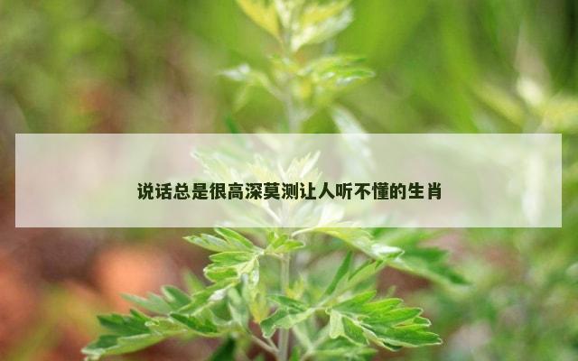 说话总是很高深莫测让人听不懂的生肖