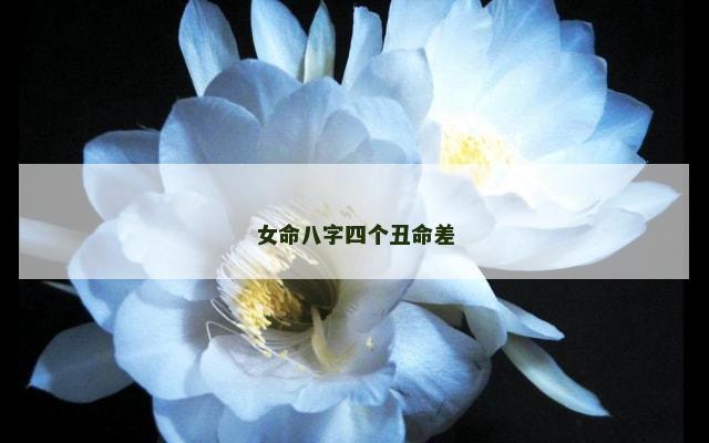 女命八字四个丑命差