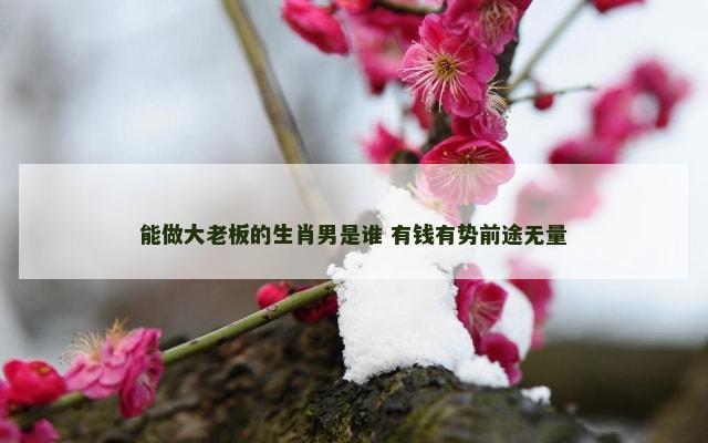 能做大老板的生肖男是谁 有钱有势前途无量