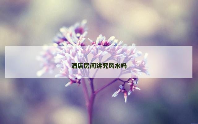 酒店房间讲究风水吗