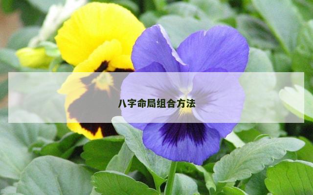 八字命局组合方法