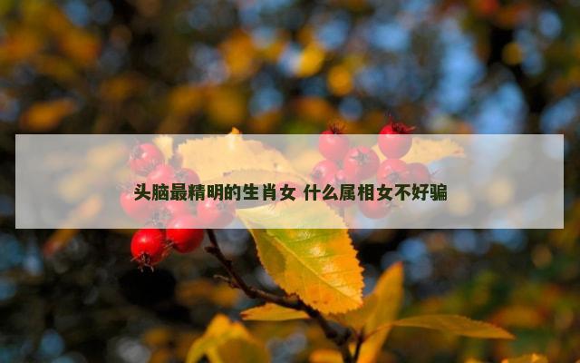 头脑最精明的生肖女 什么属相女不好骗