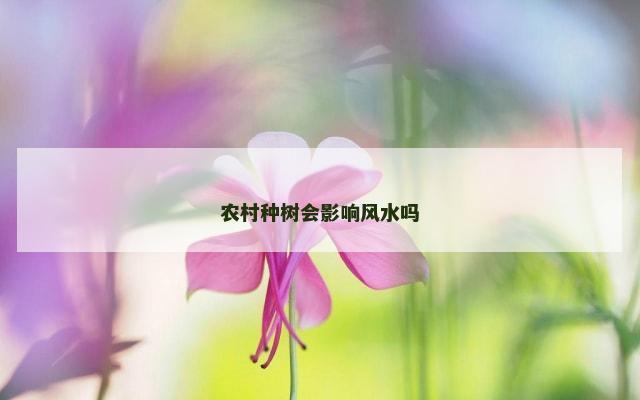 农村种树会影响风水吗