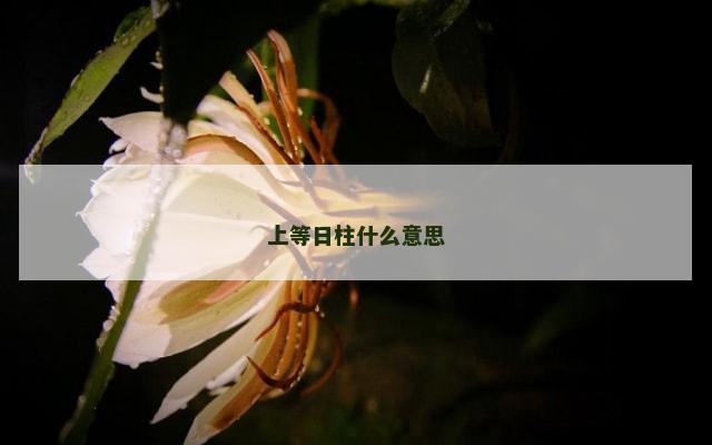 上等日柱什么意思