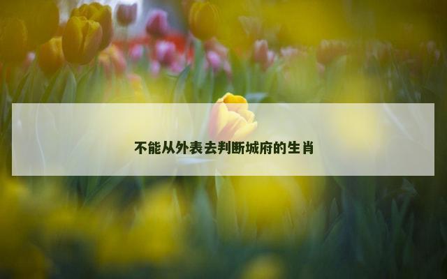 不能从外表去判断城府的生肖