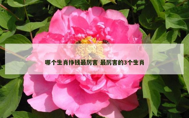 哪个生肖挣钱最厉害 最厉害的3个生肖