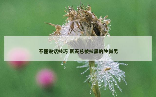 不懂说话技巧 聊天总被拉黑的生肖男