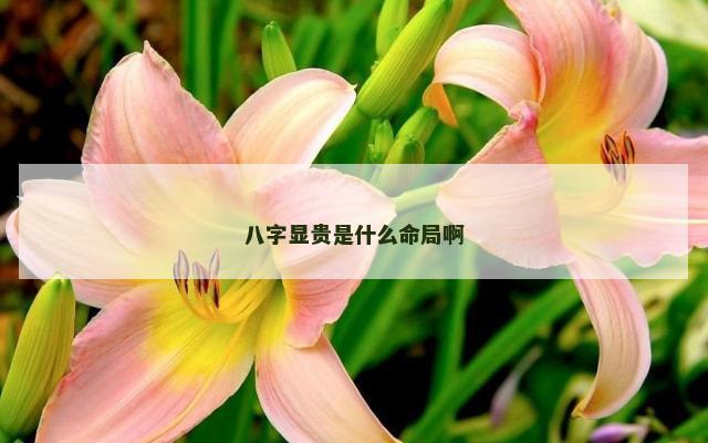 八字显贵是什么命局啊