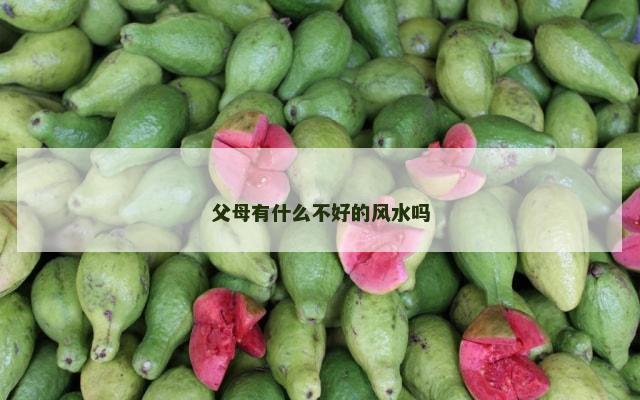 父母有什么不好的风水吗