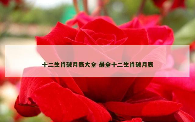 十二生肖破月表大全 最全十二生肖破月表