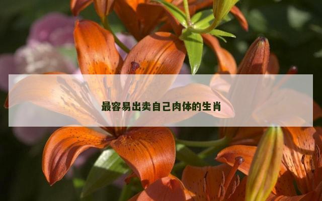 最容易出卖自己肉体的生肖