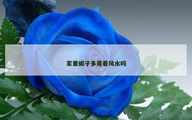 家里蝎子多用看风水吗