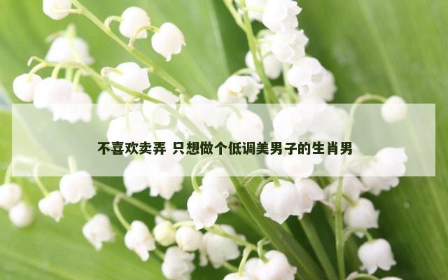 不喜欢卖弄 只想做个低调美男子的生肖男