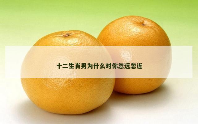 十二生肖男为什么对你忽远忽近