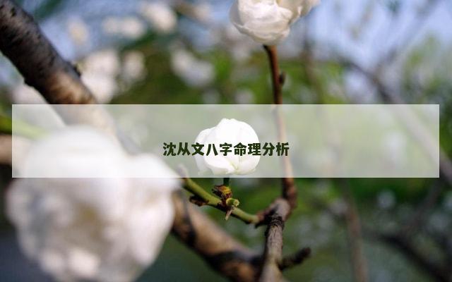 沈从文八字命理分析