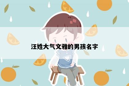 汪姓大气文雅的男孩名字