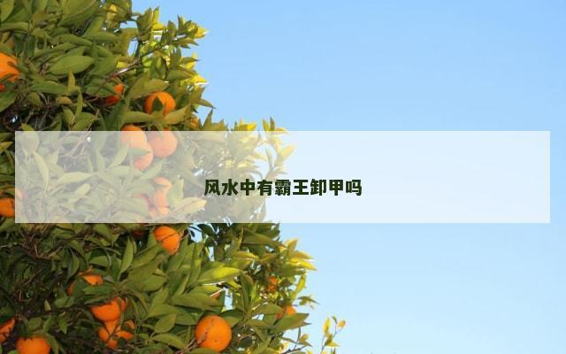 风水中有霸王卸甲吗