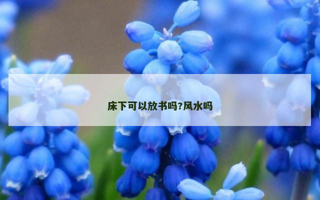 床下可以放书吗?风水吗