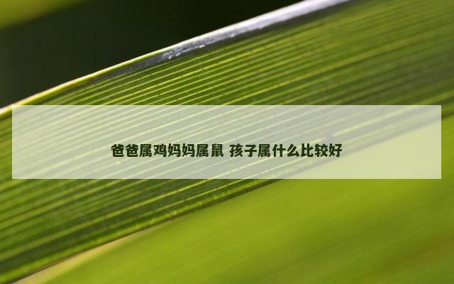 爸爸属鸡妈妈属鼠 孩子属什么比较好