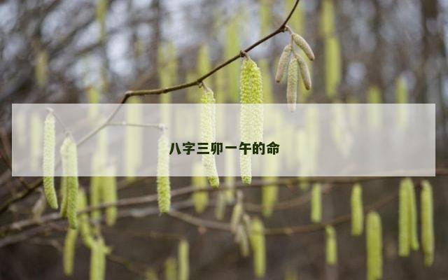 八字三卯一午的命