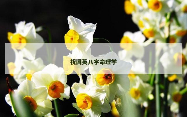 祝国英八字命理学