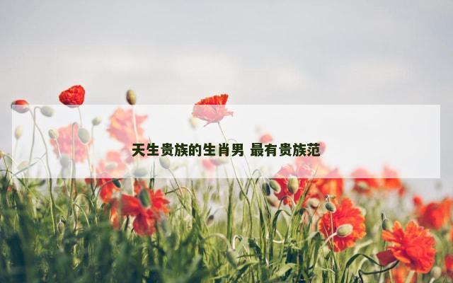天生贵族的生肖男 最有贵族范