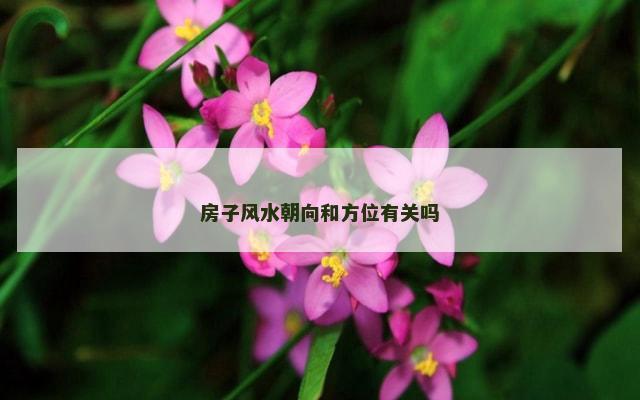 房子风水朝向和方位有关吗
