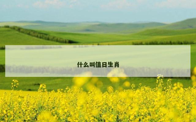 什么叫值日生肖
