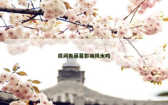 房间有藤蔓影响风水吗
