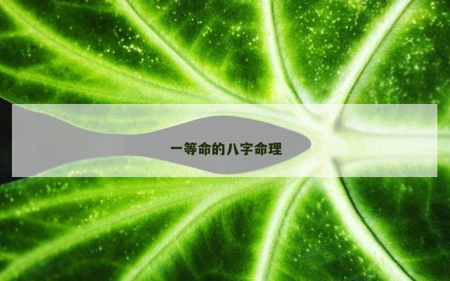 一等命的八字命理