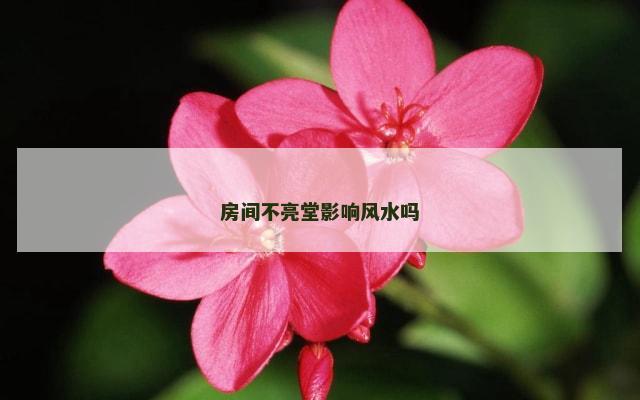 房间不亮堂影响风水吗