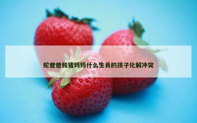 蛇爸爸和猪妈妈什么生肖的孩子化解冲突