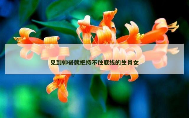 见到帅哥就把持不住底线的生肖女