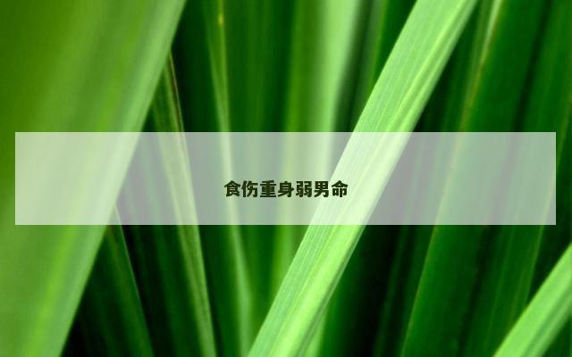 食伤重身弱男命