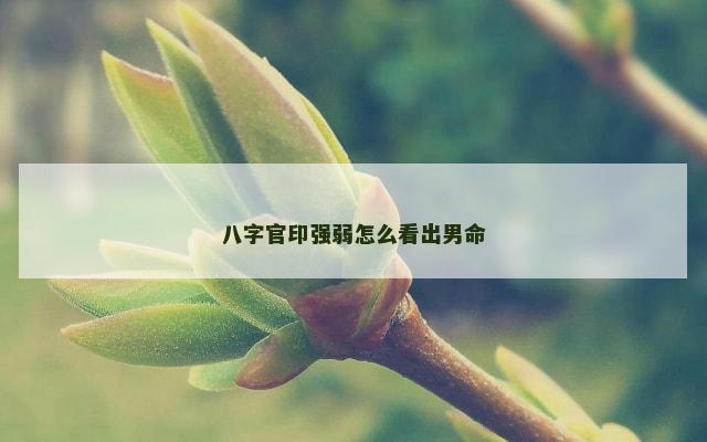 八字官印强弱怎么看出男命
