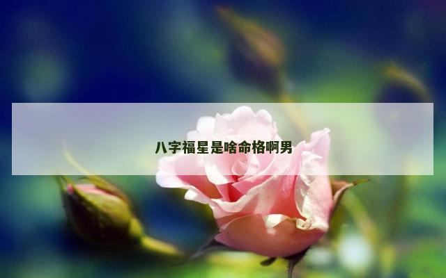 八字福星是啥命格啊男