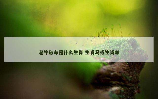 老牛破车是什么生肖 生肖马或生肖羊