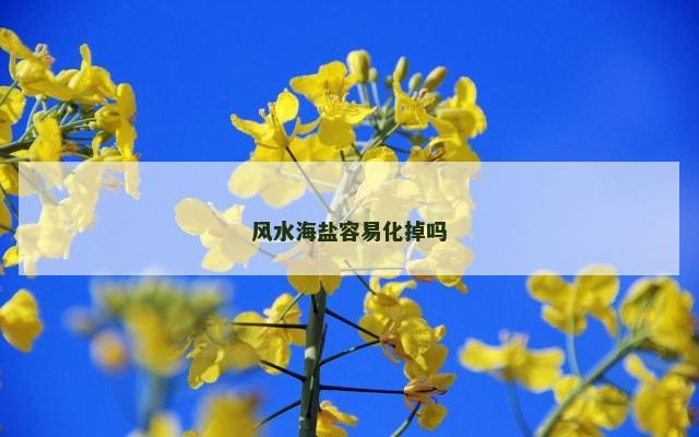 风水海盐容易化掉吗