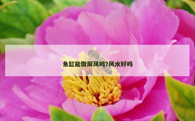 鱼缸能做屏风吗?风水好吗