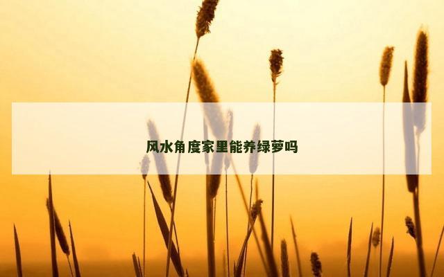 风水角度家里能养绿萝吗