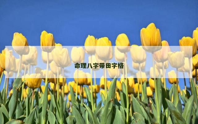 命理八字带田字格