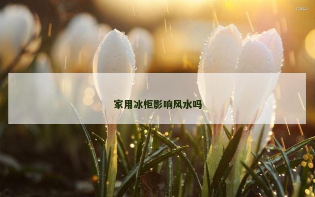 家用冰柜影响风水吗
