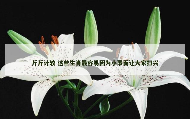 斤斤计较 这些生肖最容易因为小事而让大家扫兴