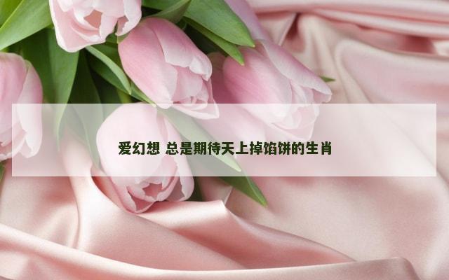 爱幻想 总是期待天上掉馅饼的生肖