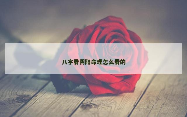 八字看阴阳命理怎么看的
